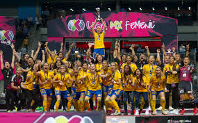 Ne manquez plus un match liga mx femenil grace a notre livescore de football mexicain. A Tres Anos Del Nacimiento De La Liga Mx Femenil La Desigualdad Salarial Sigue En Pie Infobae