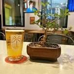 Bonsai & Brews at Sun King Brewing | Sarasota