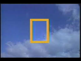 Where are the rca and columbia logos on a movie? Columbia Tristar Home Video National Geographic Video 1994 Apho2018