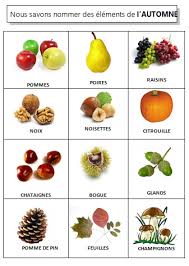Le Vocabulaire De L Automne La Maternelle De Vivi Automne Fruits D Automne Bricolage Automne