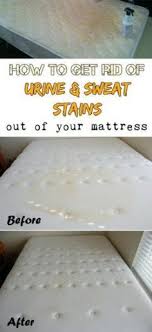 31 House Cleaning Tips And Tricks That Will Blow Your Mind With Images Mattress Cleaning House Cleaning Tips Cleaning Hacks