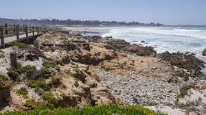 E firestone place south gate, ca usa for escalations also schneider logistics. 17 Mile Drive Sehenswurdigkeiten Kosten Dauer Offnungszeiten