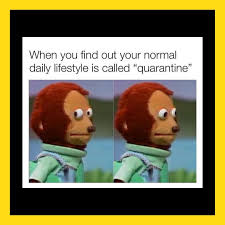 Find and download meme wallpaper on hipwallpaper. Ed Times On Twitter Let S Tickle Your Funny Bone With These Memes So That Quarantine Doesn T Remain Boring For You
