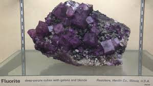 Donors for our auctions 2020/2021. Les Mineraux Et Fossiles Sont Ils Seulement Destines Aux Musees Catawiki