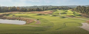 Image result for Dark Yellow Green 2020 Fleet