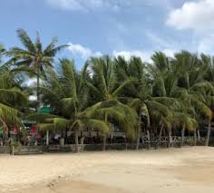 Features and services of lamai inn 99 bungalows. Hotelbilder Lamai Inn 99 Bungalows Lamai Beach Holidaycheck