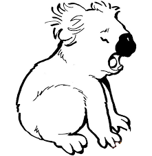 50 Australian Animal Template Shapes Crafts Colouring Pages Cute Coloring Pages Bear Coloring Pages Animal Templates
