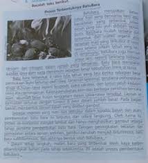 Maybe you would like to learn more about one of these? 1 Jelaskan Dan Sebutkan Teks Eksplanasi Berdasarkan Teks Tersebut 2 Dalam Teks Tersebut Brainly Co Id