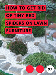 Learn How To Get Rid Of Tiny Red Spiders On Lawn Furniture How To Guides Tips And Tricks Plants Planting Bulbs Types Of Watermelon