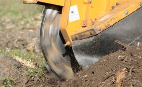 However, this machine only works for small stumps. The Cost Of Stump Grinding Fairbanks Stump Grinders