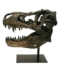 Large T Rex Skull Model T Rex