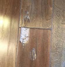 Termite control is similar to regular pest control but more specialized because termite infestations can be very damaging to homes and. Termite Control Mesa And Gilbert Az Areas