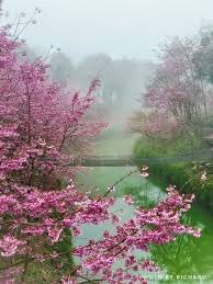 柳暗花明又一村  笑談人生 + 午夜私語