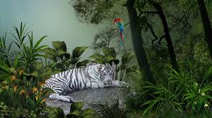 Jungle Animals Real Life Wallpapers Hd Jungle Animals Animals Animal Wallpaper