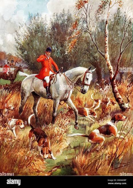 Fox hunting scene Stock Photo - Alamy