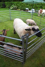 Mobile Farm Petting Zoo Party Zoo Animals Mobile Petting Zoo