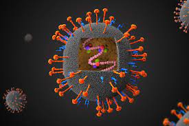 At least 14 people have died in connection with an outbreak of nipah virus in india, often transmitted by bats. The Next Pandemic Nipah Virus Gavi The Vaccine Alliance