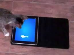 Google has many special features to help you find exactly what you're looking for. Games For Cats Youtube