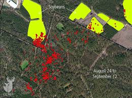 Gps Reveals Early Season Buck Movement Patterns Qdma