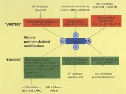 Many data fields are hyperlinked to other databases (e.g. The Histone Post Translational Modifications With The Enzymes Download Scientific Diagram