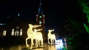 Reindeer In Front Of The Church In 2020 Reindeer Lights Christmas Ornaments Reindeer