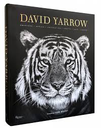 The life and love of the sea is an amazing collection of underwater photography. Books David Yarrow Photography