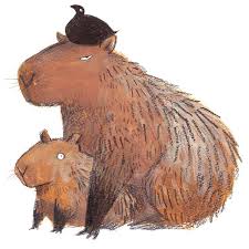 黑山 kathy lam no instagram 4個月前畫的水豚 夏天都快結束了 capybaras i drew 4 months before