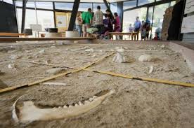 Check spelling or type a new query. Parc De La Prehistoire A Tarascon Sur Ariege Ariege Pyrenees