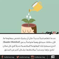 Pin By وصال الخمسي On J Plants Allah