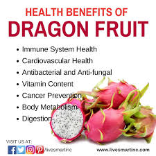 Home Temp Dragon Fruit Health Benefits Dragon Fruit