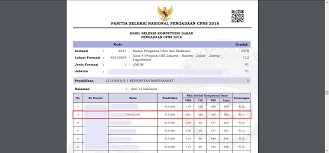 Disini penulis akan buka aib penulis bukanlah peserta yang bisa masuk profesi apoteker itb dalam percobaan. Pengalaman Mengikuti Tes Cpns Badan Pom 2018 2 A Lifelong Journey By Lulu Khodijah