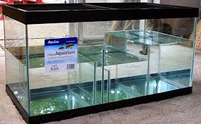 Building your own diy aquarium sump tanks are projects on their own. Sump Design Aquarium Fish Tank Aquarium Saltwater Aquarium