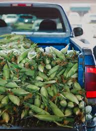 There's room to meet the needs of the whole. Is The Raleigh State Farmers Market The Best In The Whole Damn Country By Rachel Wharton Heated