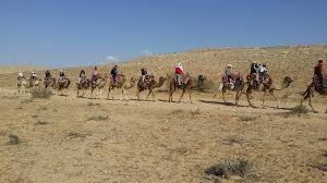 If riding a camel has always been on your bucket list, then this marrakech camel trek excursion will tick it off! Fun Camel Ride In The Negev Desert Picture Of Israel Private Tours Tel Aviv Tripadvisor