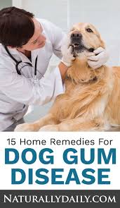Pin On Natural Home Remedies