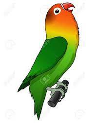 klik pada gambar yang ingin di download untuk memperbesar Paling Keren 30 Gambar Burung Lovebird Kartun Keren Koleksi Rial