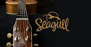 These guys have brought a lot of innovations to the world of acoustic guitar playing and offer some of the finest acoustic guitar models that money can. Top Guitar Brands In The World List Of Top 10 Best Guitar Brands