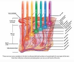 Glorious 7 Colors Photon Pdt Led Skin Rejuvenation Facial