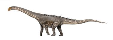 The titanosaur is no longer. D20 Despot Monster Monday Titanosaur The Biggest Dinosaur Ever