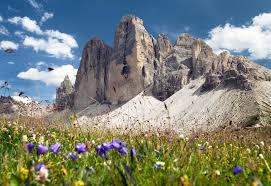 The work of manu prakash. Tre Cime Nature Park