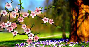 Check spelling or type a new query. Hd Wallpapers Nature Flowers 3d 1 Nature Flower Wallpaper Hd 1581x835 Download Hd Wallpaper Wallpapertip