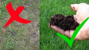 Dieser beitrag klärt über inhaltsstoffe und eignung verschiedener aschesorten auf. Rasen Mit Asche Im Garten Dungen Asche Als Rasendunger Rasen Pflegen Tipps Fur Den Garten Youtube