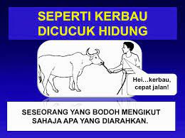 Hal itu membuatmu seperti kerbau dicucuk hidung 'terpaksa' mau menuruti semua kemauannya. Zuls World Koleksi Peribahasa Berdasarkan Gambar Bersertakan Maksud