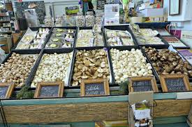 Quest prahran is located within walking distance to chapel street, prahran market, supermarkets, alfred hospital and the st. Prahran Market Tour Grocery Haul Video
