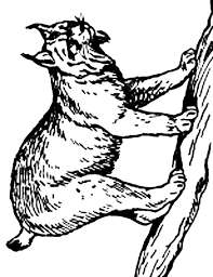 Coloring page, drawing, picture, school, education, primary school, educational image: Lynx Coloring Page Animals Town Free Lynx Color Sheet