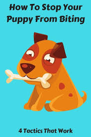 Use a special sound or word that grabs your dog's attention and prevents them from biting. Puppy Biting Is Cute Until It Hurts Or The Pup Starts Biting On Your Furniture Walls Or Even Shoes Learn How To Puppy Biting Stop Puppy From Biting Puppies