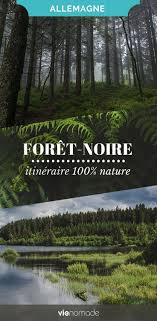 La forêt noire est une région de moyenne montagne en allemagne. Que Faire En Foret Noire Un Road Trip Aventure Et Nature Road Trip Foret Noire Foret Noire Allemagne Voyage En Allemagne