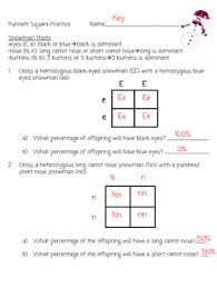 A punnett square to explain your answer. Snowman Punnett Square Practice Worksheet By Kinsley Heaton Tpt