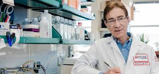 We did not find results for: Common Mutations May Work In Tandem To Drive Development Of Malignant Mesothelioma Fox Chase Cancer Center Philadelphia Pa