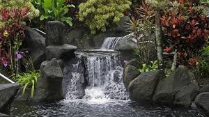 A hot tub is a great way to enjoy your backyard all year long. 6 Best Hot Springs In Costa Rica Bookmundi